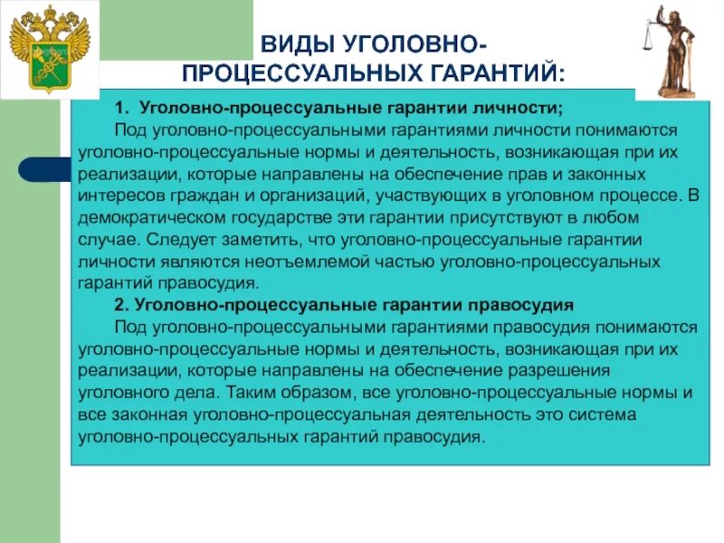 Реализация уголовных норм. Процессуальные гарантии в уголовном процессе. Уголовно-процессуальные гарантии виды. Виды процессуальных гарантий. Уголовно-процессуальные гарантии понятие.