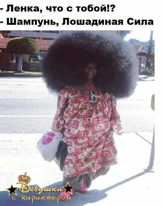 Работа ленка. Смешная ленка. шампунь лошадиная сила юмор. ленка смешные картинки. шампунь лошадиная сила прикол.
