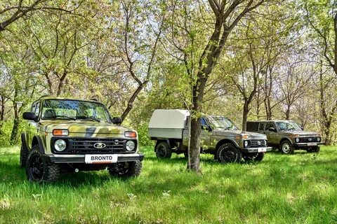 Нива отличие