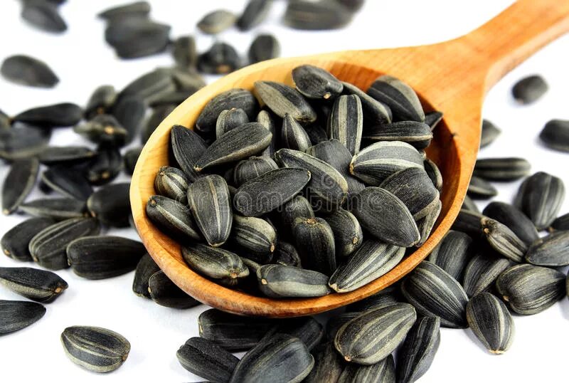 Лен в ложке. Семена чиа столовая ложка. Столовая ложка семечек. Столовая ложка семечек. Семена чиа черные.