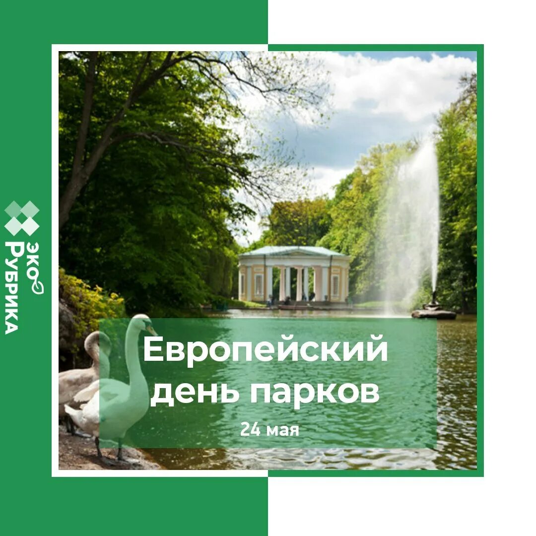 День в парке слова. Европейский день парков (European Day of Parks). Европейский день парков 24 мая. Открытки Европейский день парков. Европейский день парков 24 мая картинки.