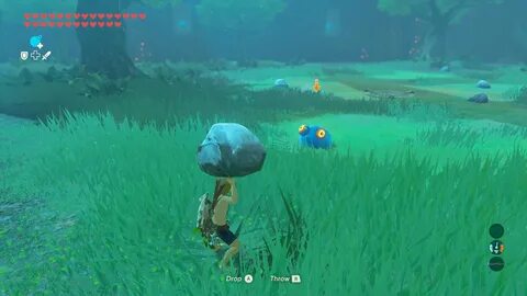 Zelda: Breath of the Wild AllGamers.