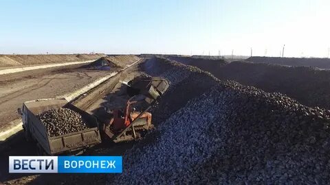 Воронежский чернозем