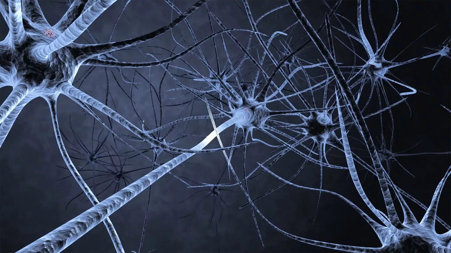 Нейрон клетка головного мозга. Нервная система Нейрон. Нейрон Пуанкаре микрофотография. Нейронные сети головного мозга.