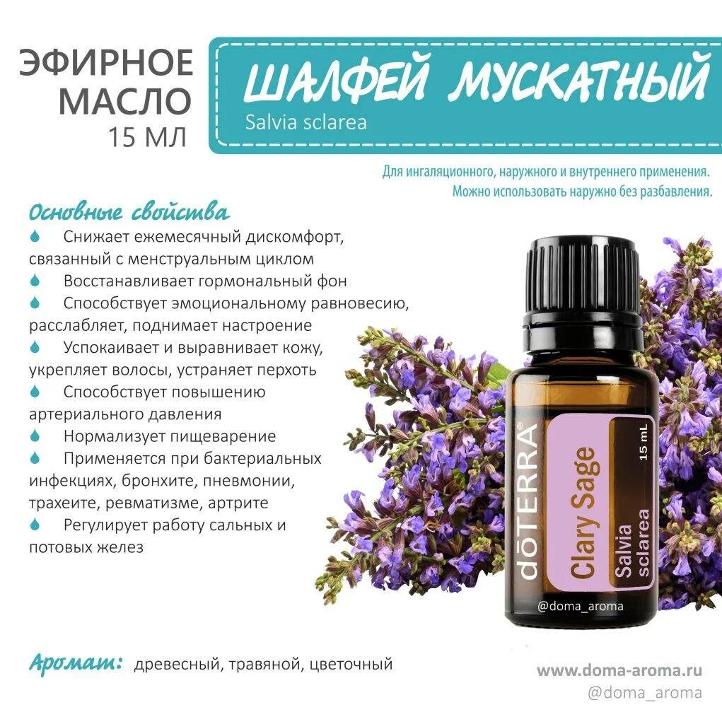 Масло шалфея для чего. Шалфей мускатный дотерра. смесь эфирных масел бриз дотерра. мускатный шалфей эфирное дотерра. эфирное масло шалфея дотерра.