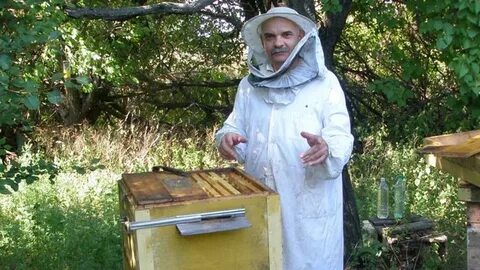 Пчеловод инфо