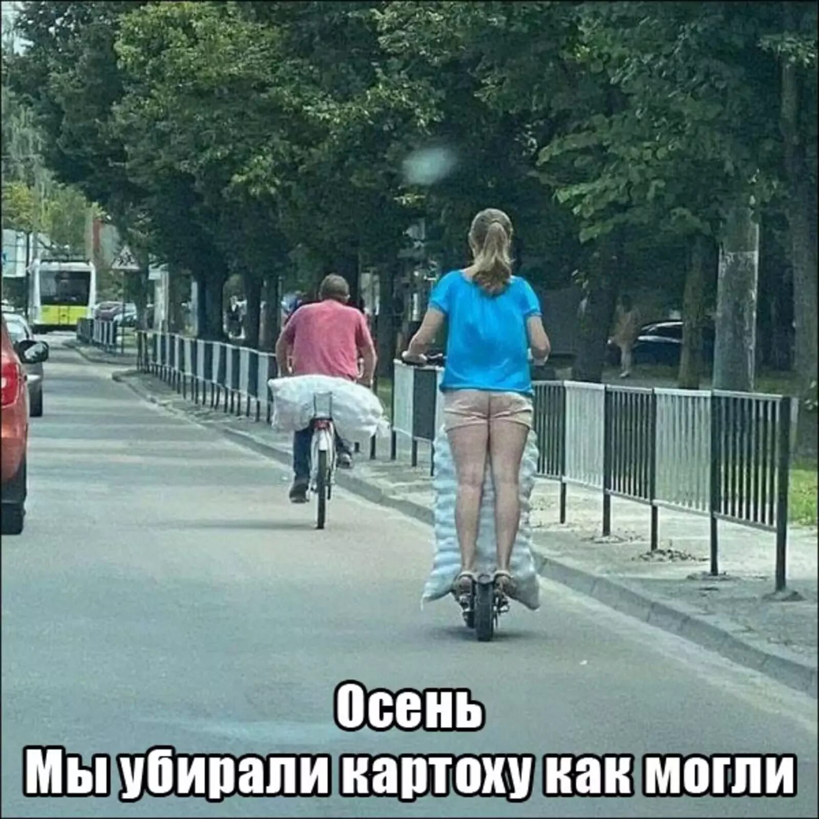Подвесили. Hover cat, Cute cats, Crazy cats