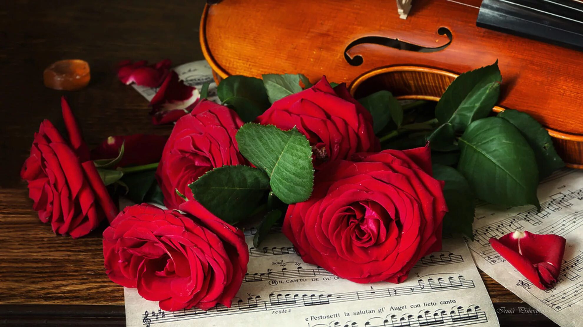 Музыка цветов мп3. Музыкальный цветок. Розы и музыкальные инструменты. Скрипка и цветы. Ноты и цветы.