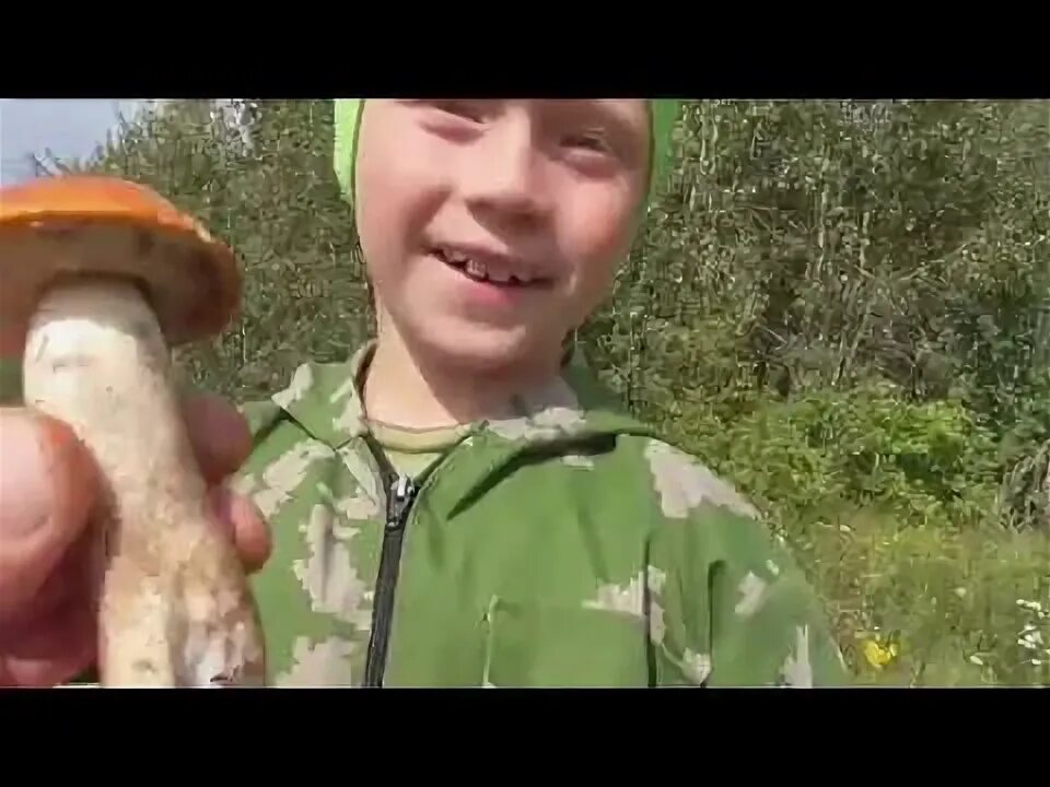 Нормальный мужик последнее видео про грибы. Гигантский белый гриб. Нормальный мужик последнее видео про грибы. Грибник весной. Грибы нормальный мужик последнее видео.