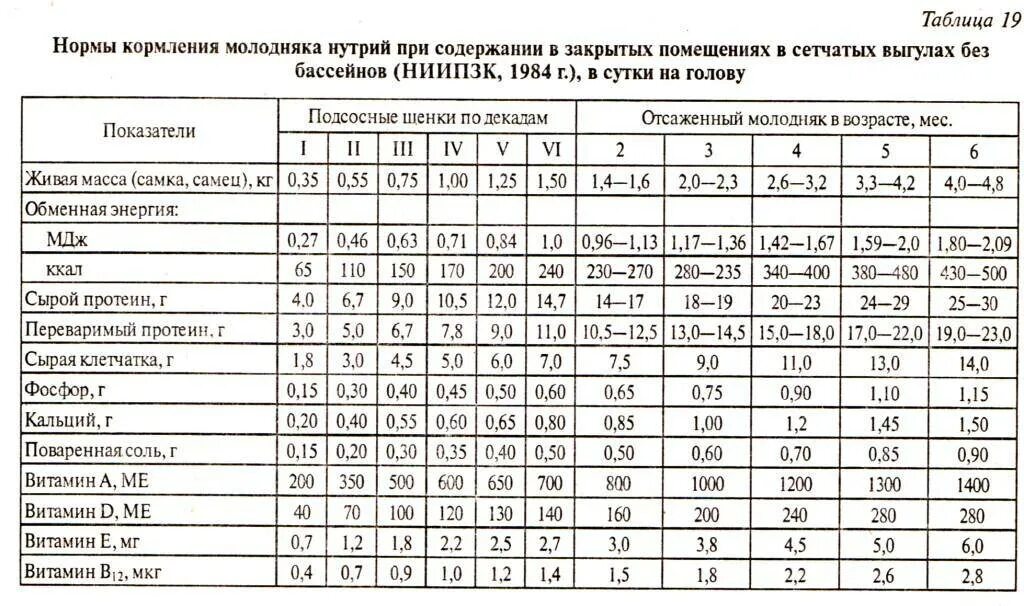 Можно давать нутриям. Нормы кормления нутрий таблица. Рацион нутрий таблица. Корм для нутрий состав. Нормы кормления нутрий.