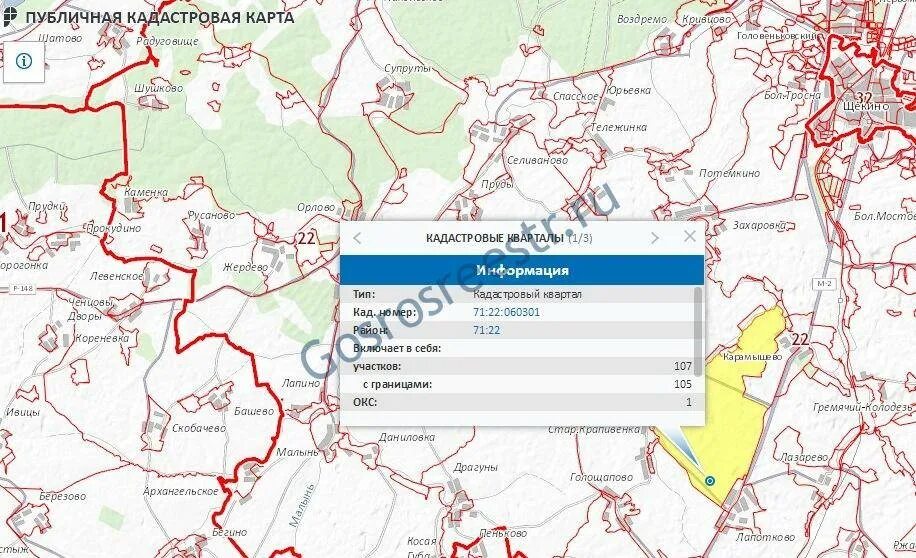 Кадастровая карта ивановской области 2024. Кадастровая карта. Публичная кадастровая карта. Публичная кадастровая карта Тульской. Публичная кадастровая карта картинки.