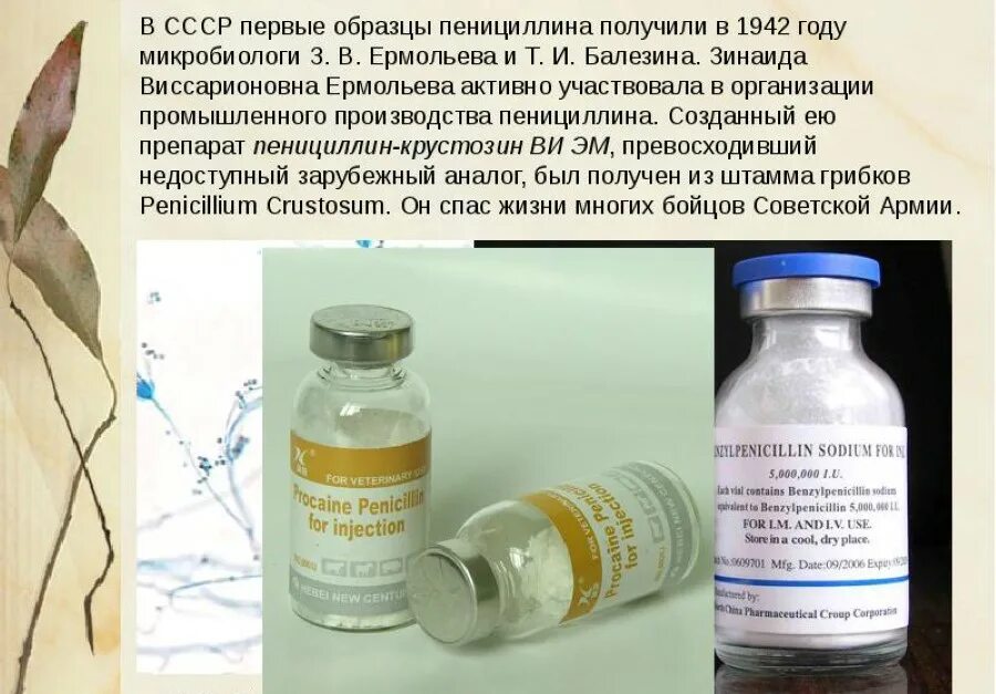 Флеминг пенициллин открытие. Возьми пенициллина. Антибиотики пенициллин флеминг. Антибиотики из плесени. Пенициллин антибиотик плесень.