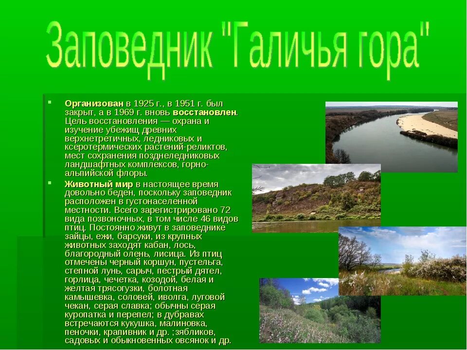 Сообщение о любом месте. Сообщение о заповеднике. Доклад о заповеднике. Заповедники России доклад. Сообщениемо заповеднике.