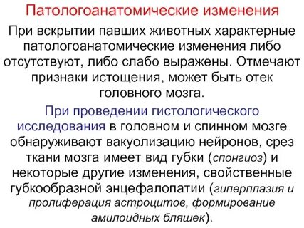 При этом отсутствует какой либо