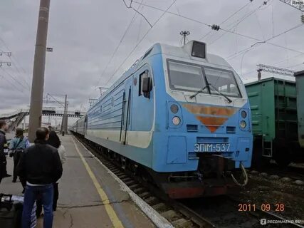 Поезд канаш санкт петербург