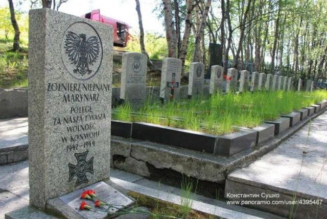 Захоронения мурманска. Братская могила лиинахамари никель. Кладбище кировск мурманская область. Захоронения мурманска. Кладбище мурманск верхнеростинское шоссе.