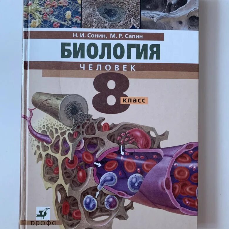 Биология Сонин. Биология 8 класс Сонин. «Биология. Человек», Сонин н.и., Сапин м.р.. Биология 8 класс человек Сонин Сапин. Биология 8 класс главное