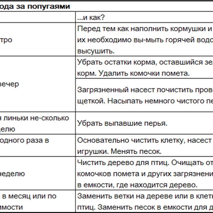 Чем можно кормить волнистых попугаев. Рацион питания волнистых попугаев. Чем кормить попугая волнистого в домашних условиях. Памятка по уходу за попугаем. Чем кормить попугаев кроме корма