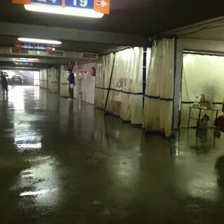 Кит тюмень