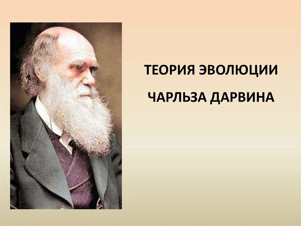 Эволюционная теория Чарльза Дарвина. Теория эволюции Дарвина. Эволюция теории Чарлза Дарвина.