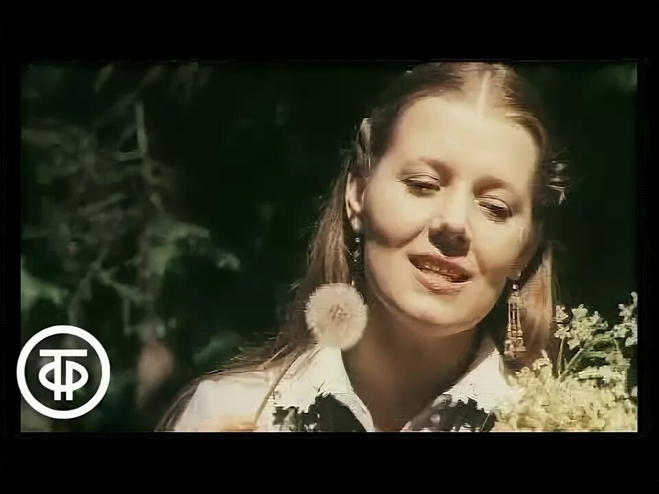 Сенчина цветы. Сенчина цветы. Сенчина в молодости. Сенчина цветы. В горнице моей светло сенчина.