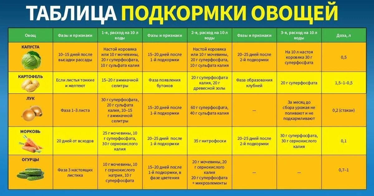 Как часто подкормить