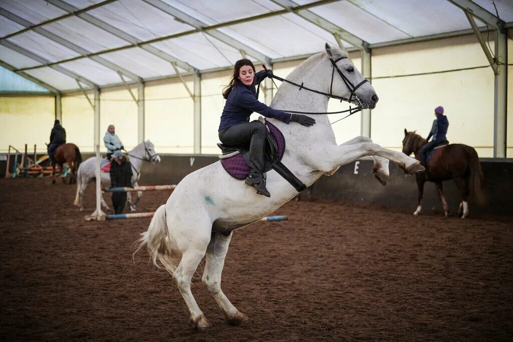 Кск спорт. Северная усадьба СПБ конюшня. КСК Конная усадьба СПБ. КСК Тимирязева. КСК Бэст СПБ.