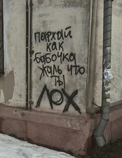 Как пишется пархала или порхала