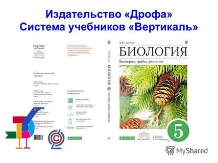 Учебник издательство дрофа