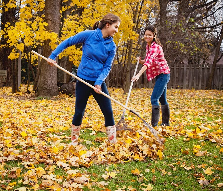 Нужно ли убирать листву. Уборка листьев. Уборка осенних листьев. Дети сгребают листья. Сгребание листвы.