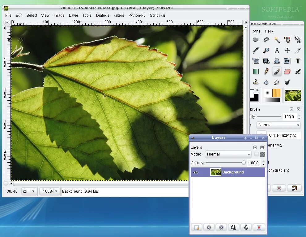 Gimp сделать прозрачным. Фильтр озеро в gimp. рельеф в гимп. осветление в gimp. как в гимп залить фон цветом.