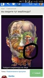 Лицо из животных найти верблюда ответ
