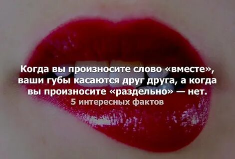 Красные губы текст