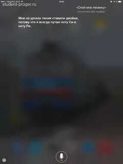 Сири ответь