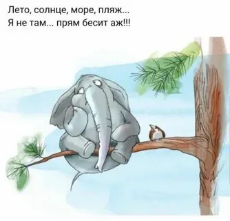 Прикольные картинки про жизнь со смыслом смешные