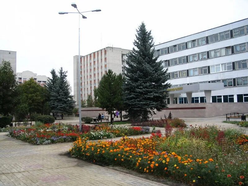 Академика и. Г. Университеты брянска. Брянский университет бгу бгу. Петровского.