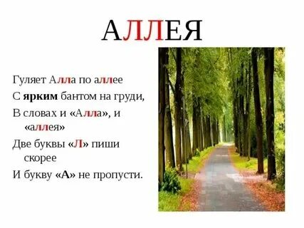 Как правильно пишется слово аллея