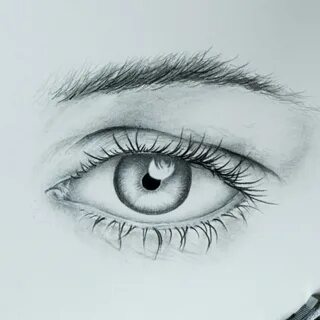 Draw see
