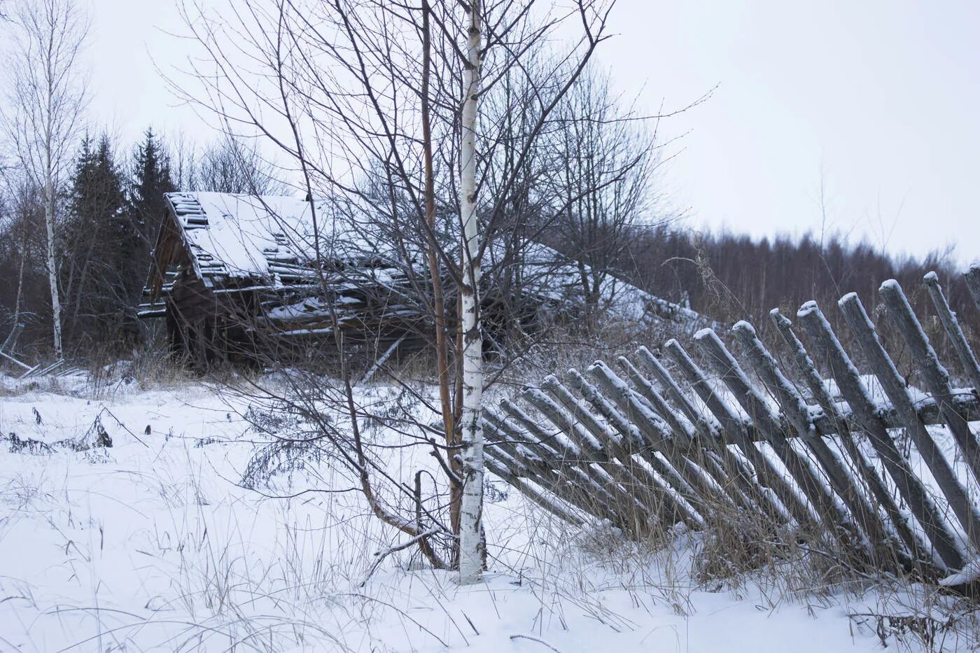 Покосившийся дом. Покосившийся изложить. Заброшенные деревни нижегородской губернии. Дом врос в землю. Покосившийся изложить.