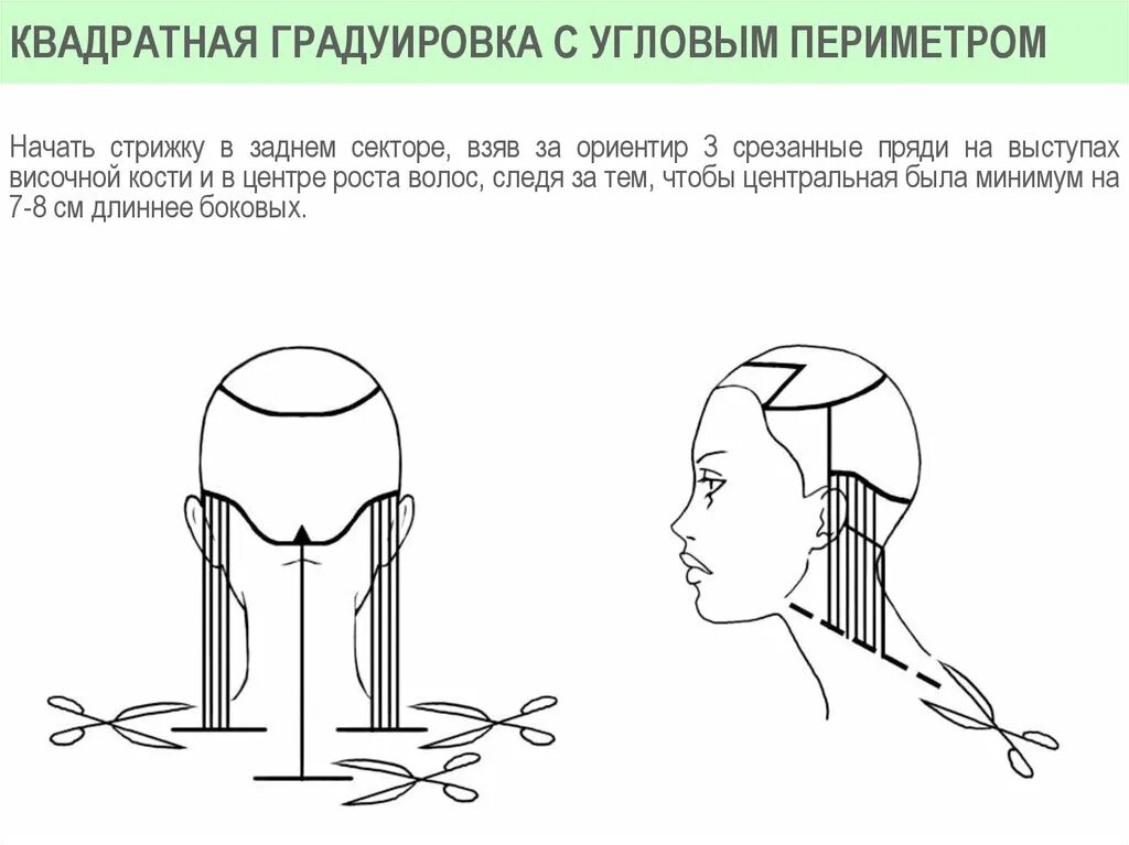 Что значит градуировать