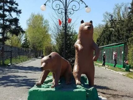 Медведь абакан телефон