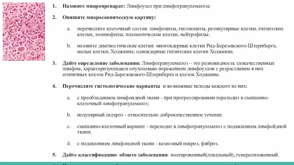 Лимфома лимфатические узлы. Лимфатический узел при лимфоме Ходжкина микропрепарат. Клетки Ходжкина гистология. Лимфогранулематоз лимфатического узла микропрепарат. Лимфатический узел при болезни Ходжкина микропрепарат.