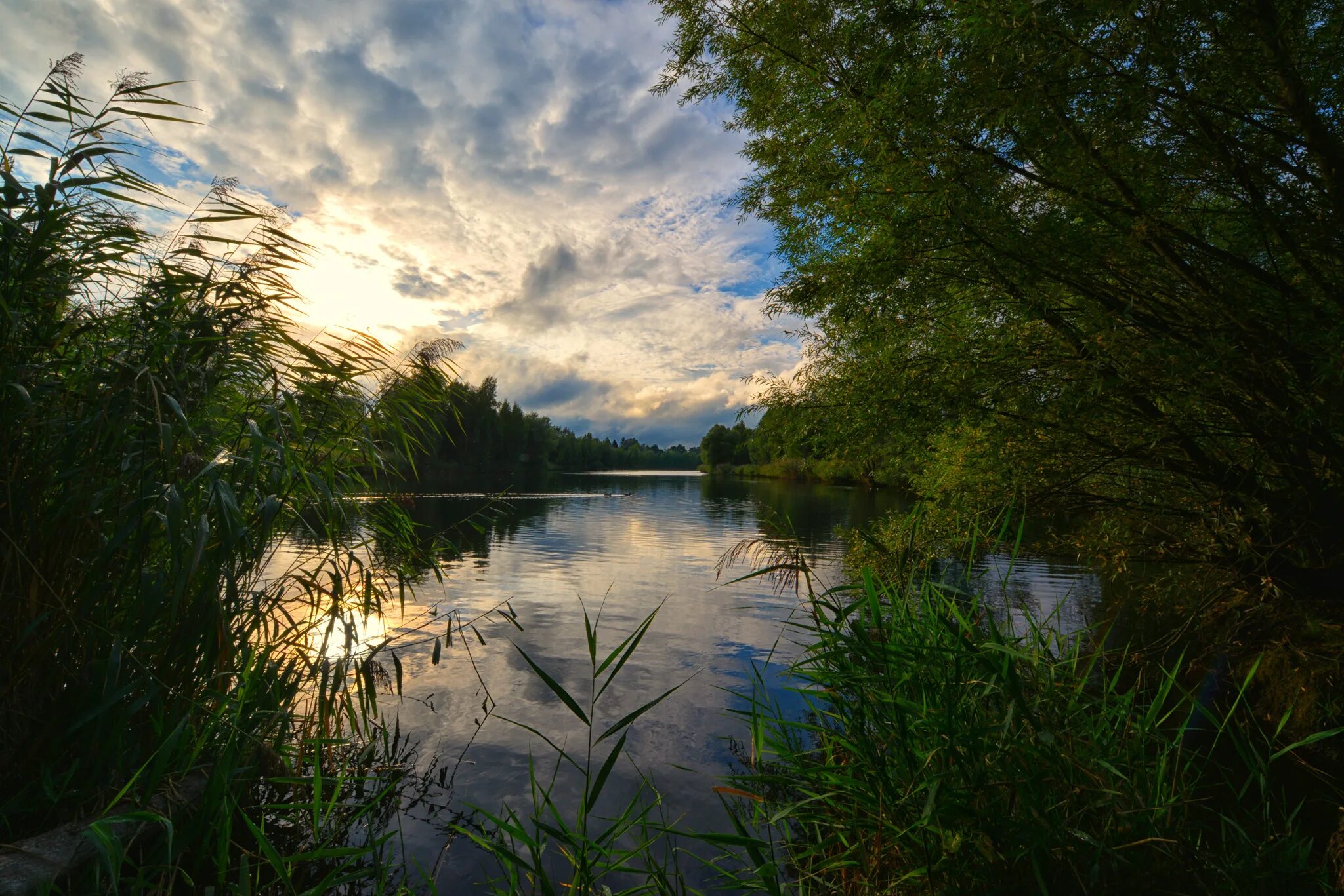 Вода едва блестела в реке. Тихая заводь реки. Тихая Лесная заводь. Озеро Селигер кувшинки. Река Дубна.