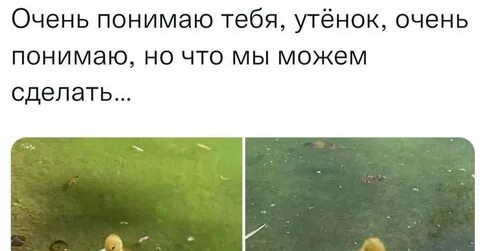 Не очень вас поняла