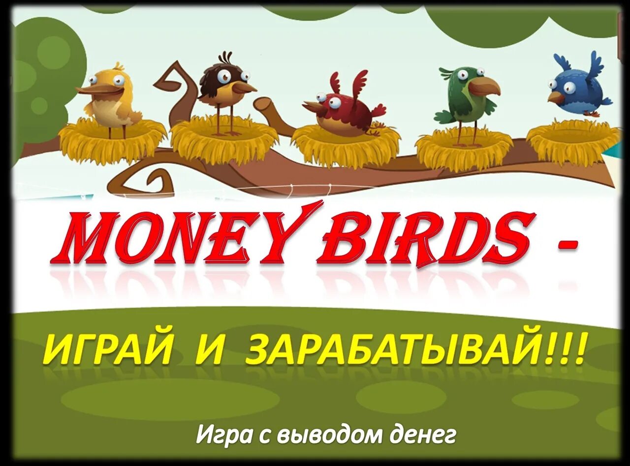 Мани бердс. Money Birds игра. Игры с выводом денег про птиц. Money Birds вывод. Играй и зарабатывай.