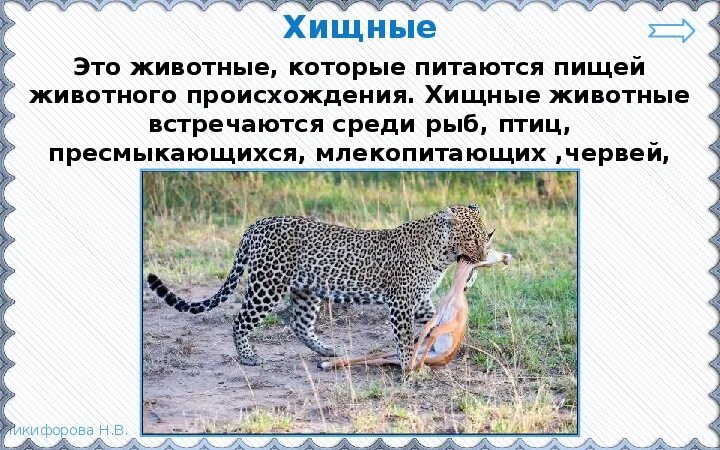 Как животные питаются 3 класс окружающий. Вторичные хищники. Животные это еда для других животных это связь. Хищники животные список 3 класс окружающий мир.