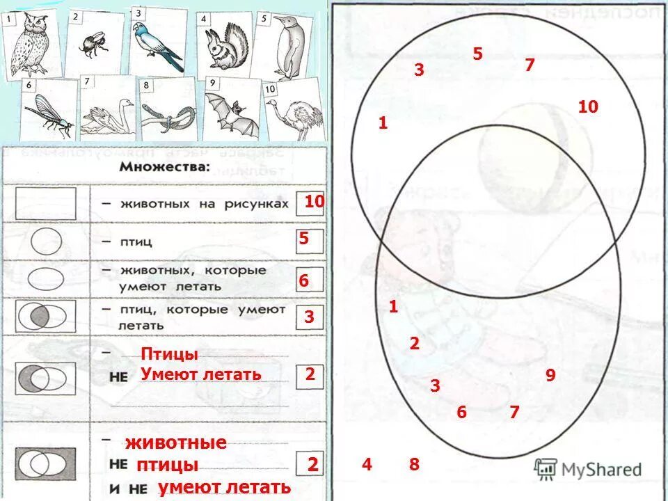 Изобразите с помощью кругов эйлера равенство множеств. Операции с числовыми множествами. Подмножества множества примеры. Множества в 5 кл. Множества и подмножества задания.