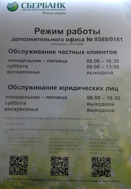 Лужайка выборг расписание