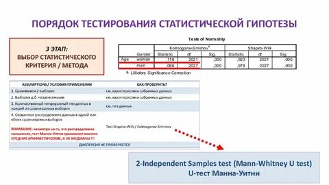 Что такое данные тест