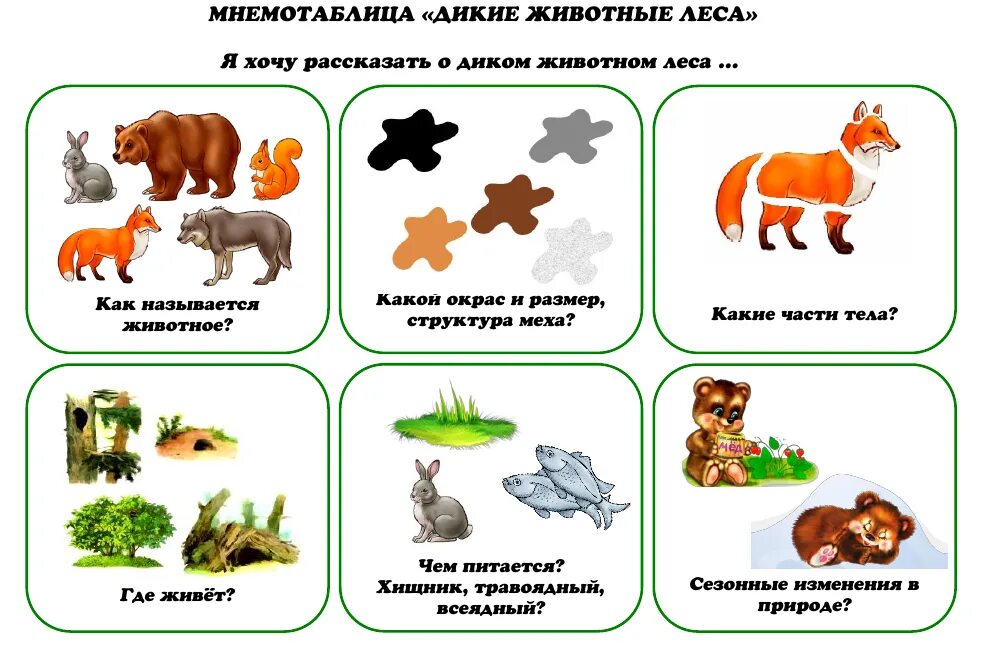 Конспект средней группы домашние животные. Дикие животные схема описательного рассказа о животных. Схема описания дикого животного. Карточки с дикими животными для детей. Мнемо таблица Дикие .жив..